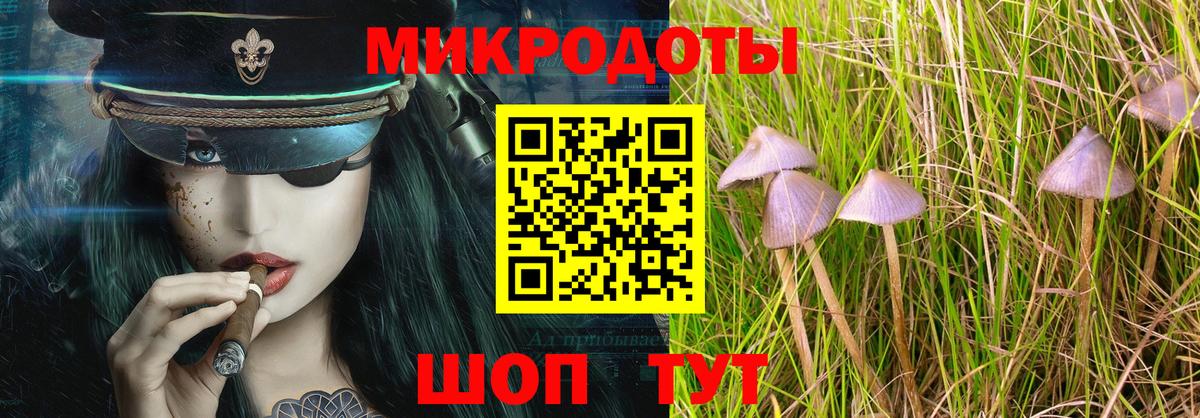 Галлюциногенные грибы GOLDEN TEACHER Кашира